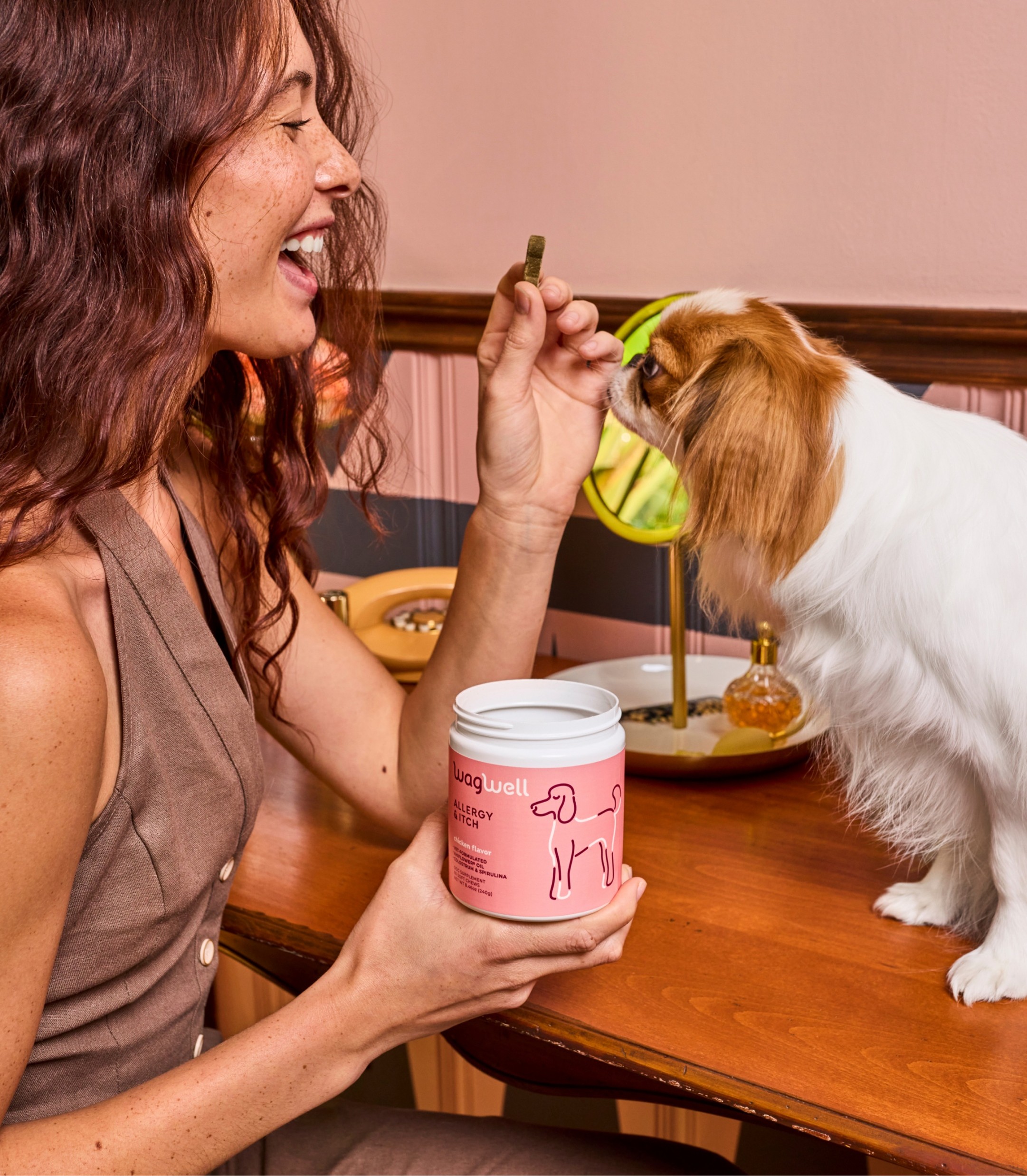 WagWell Allergy & Itch Chews