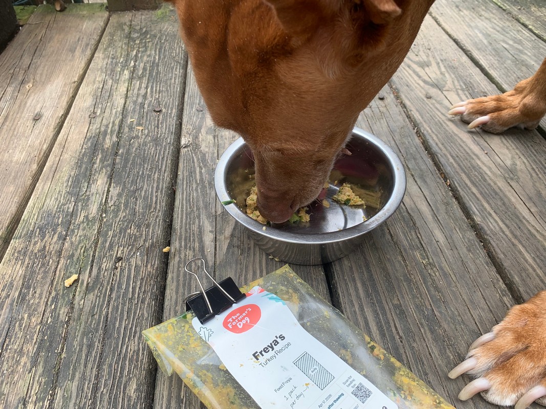 The Farmers Dog Review: Fresh Food That Actually Feels Personalized