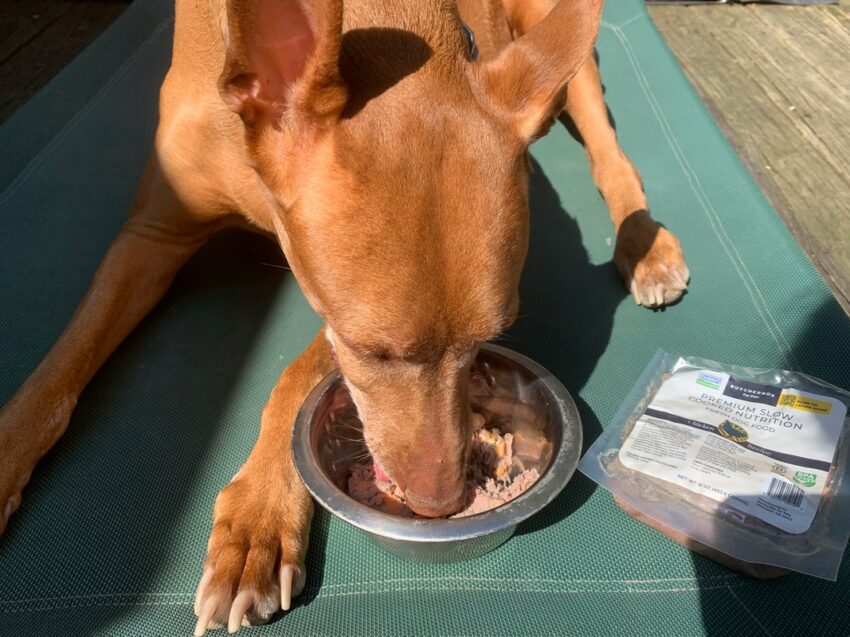 ButcherBox For Pets fresh dog food review