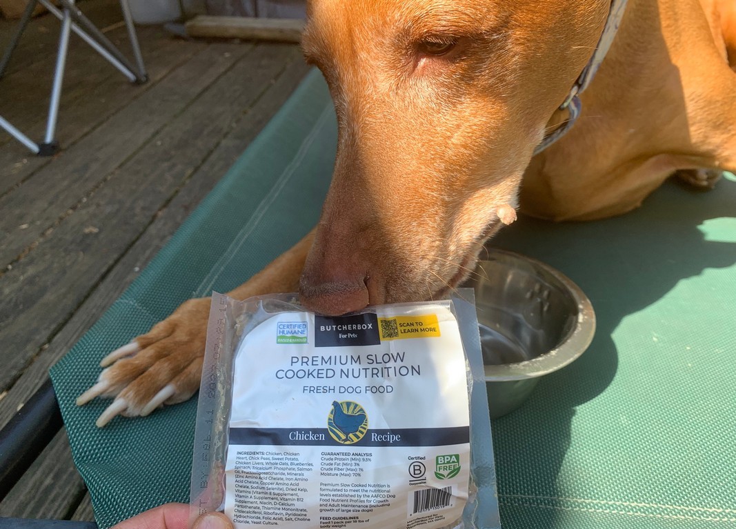 ButcherBox For Pets fresh dog food review 