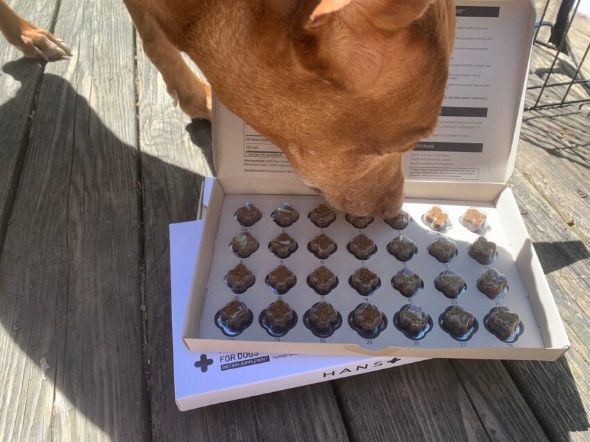 HANS dog hormone supplement review 