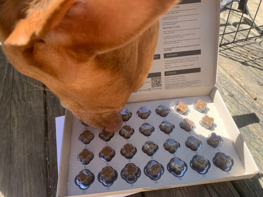 HANS review dog hormone supplement