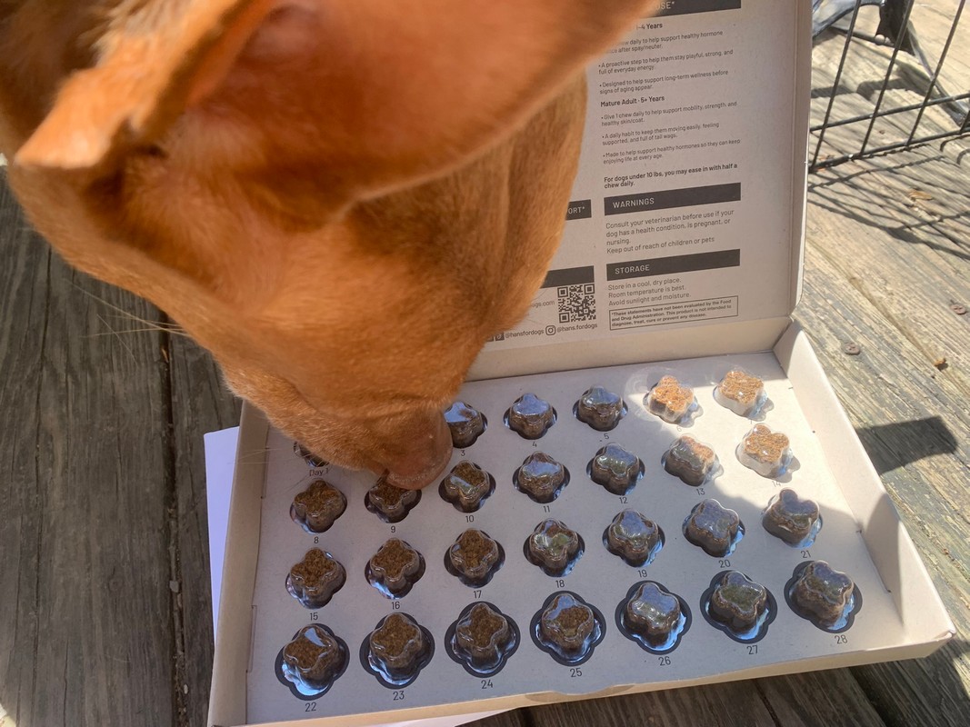 HANS™ Review: Can Hormone Support Improve Canine Longevity?