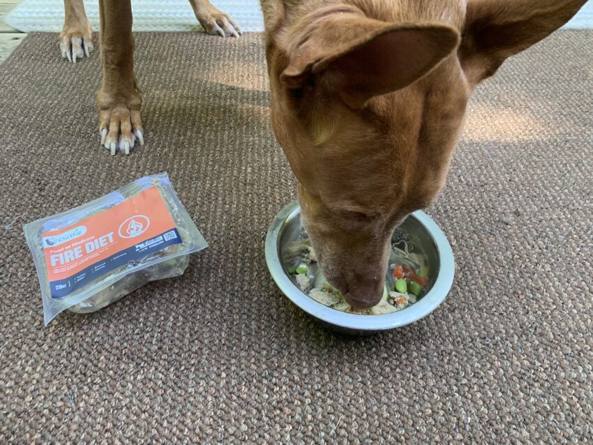 Chi Dog Review: A Fresh Take on Human-Grade Dog Food