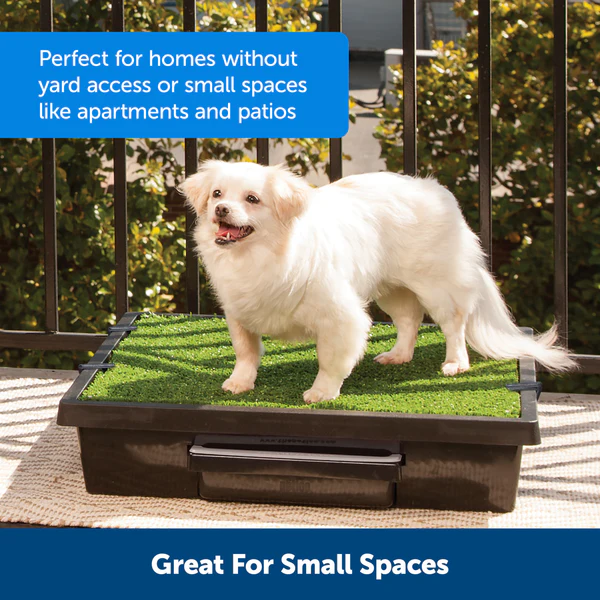 PetSafe Pet Loo Portable Dog Potty