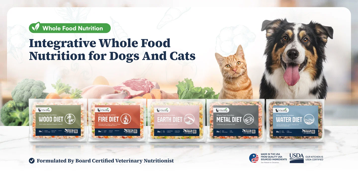 Chi Dog Review: A Fresh Take on Human-Grade Dog Food