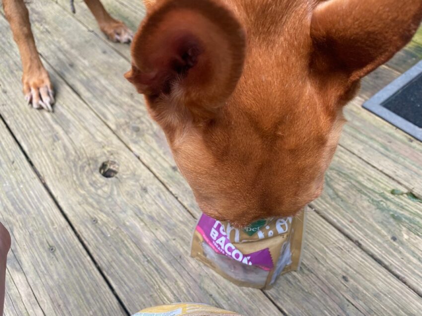 freshpet bacon treats