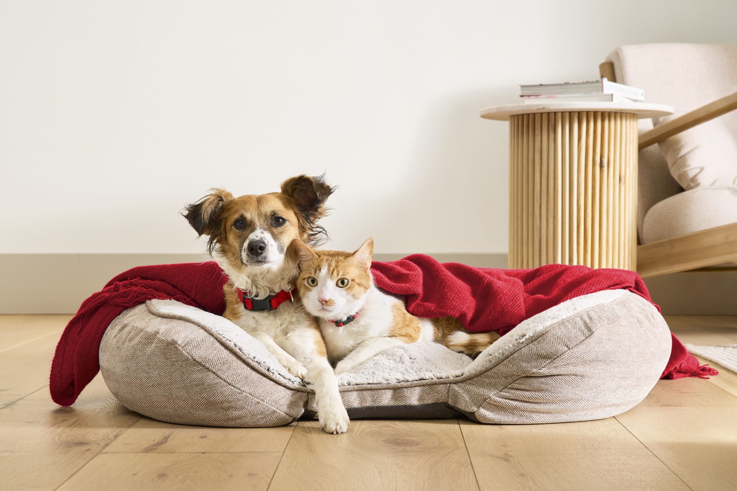 PetSmart Members Appreciation Days