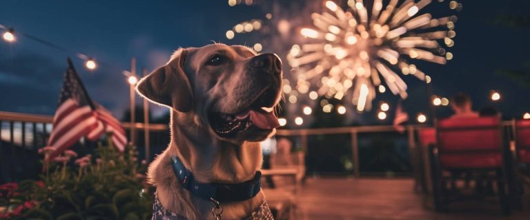 200+ Adorable 4th of July and American Themed Dog Names