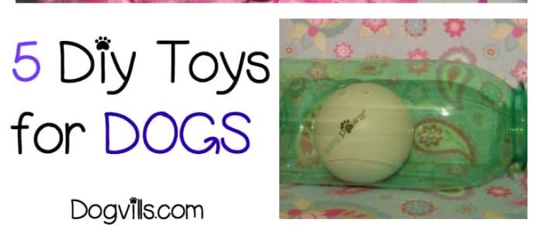 5 Great DIY Toys to Make For dogs