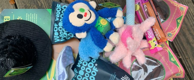 BarkBox Dog Subscription Box Review