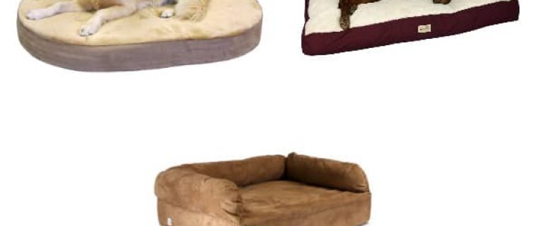 Best Dog Beds For Large Dogs