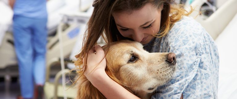 Best Service Dog Breeds and What Makes Them So Trainable