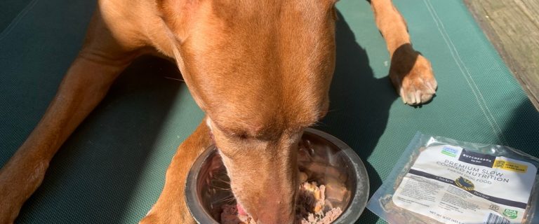 ButcherBox For Pets fresh dog food review