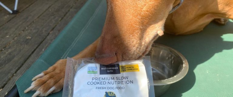 ButcherBox For Pets fresh dog food review
