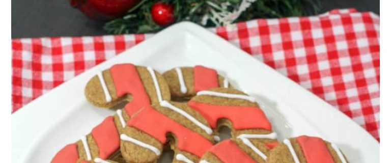 Looking for Christmas hypoallergenic dog treats? Check out this adorable candy cane holiday dog treats recipe! It's easy to make, and your pup will love it!