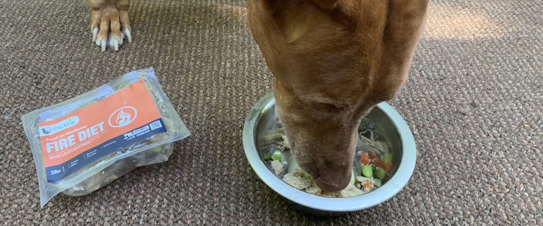 Chi Dog Review: A Fresh Take on Human-Grade Dog Food