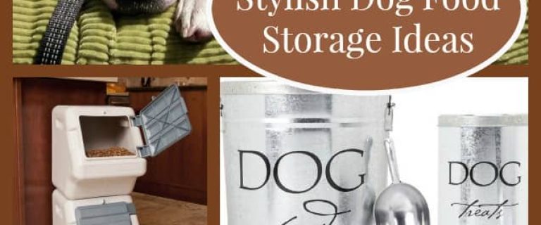 Stylish Dog Food Storage Ideas for Your Home