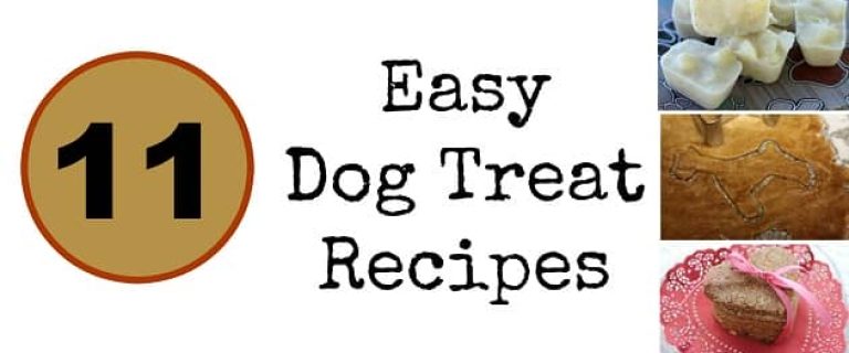 Looking for super easy homemade dog treat recipes that your canine companion will love? Try these 11 tasty treats, all using simple ingredients! Which is your favorite?