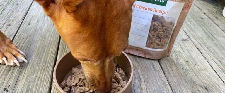 freshpet fresh dog food delivery review