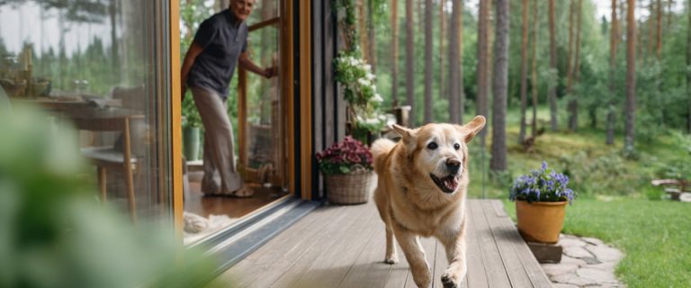 How Can You Get Your Dog to Stop Running Off?