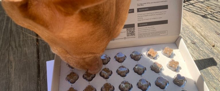 HANS review dog hormone supplement