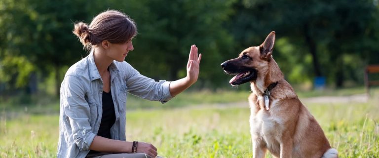 Top 8 Hand Signals to Teach Your Dog (Including Deaf Ones)