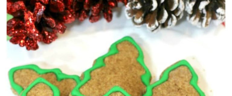 Ready for another great holiday dog treats recipe that you can whip up for your special canine companion? These Christmas Tree treats are so cute!