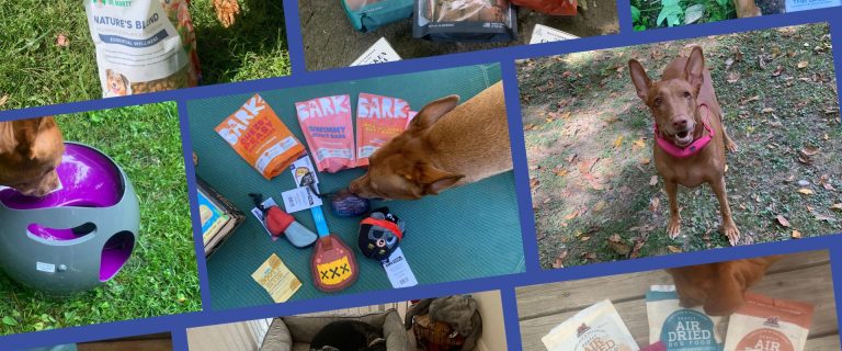 How We Vet test pet Products