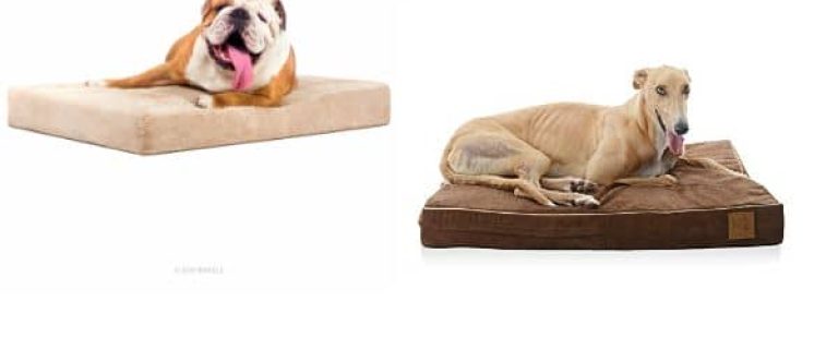 If you have a pooch with sensitive skin, you need to be careful about what he spends his days lounging on! Check out the best hypoallergenic dog beds!