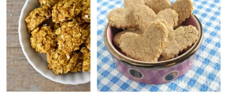 Looking for amazing hypoallergenic dog treat recipes for your pooch? How about four of our favorites? Try these out and your dog will be thrilled!