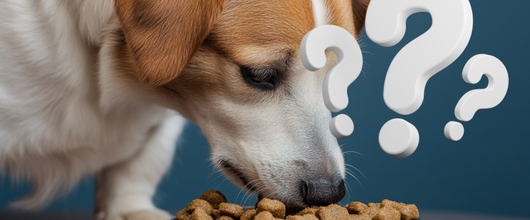 Just how natural is dog food really?