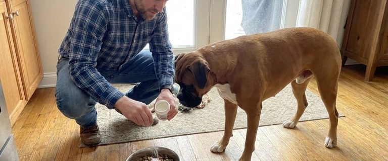Glucosamine vs Chondroitin For Dogs: What’s The Difference? 