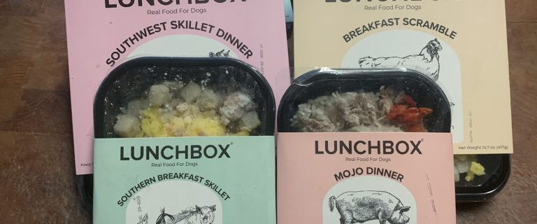 Lunchbox Real Food for Dogs Review: A Fresh Take on Fresh Dog Food
