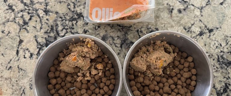 Ollie Best Dog Food for Small Dogs