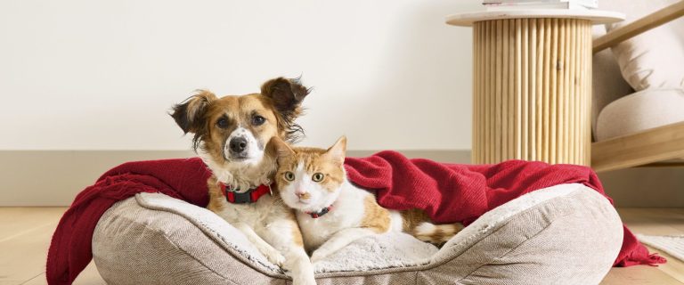 PetSmart’s Exclusive Members Appreciation Days
