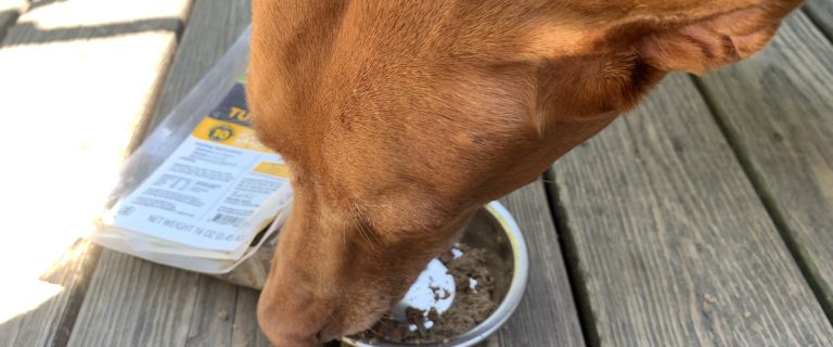RaisedRight Dog Food Review