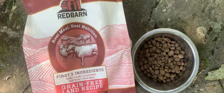 Best Dog Food for Large Breed Dogs: Top 5 Brands We Recommend