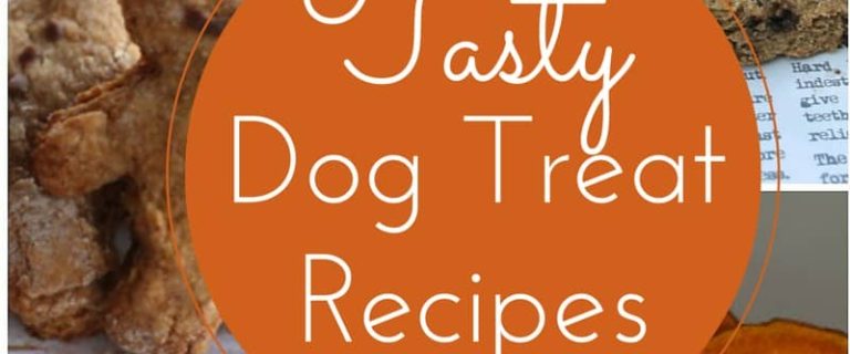 Looking for Easy & Delicious Homemade Dog Treat Recipes so you can whip up some tasty morsels for your canine companion? We've got you covered !