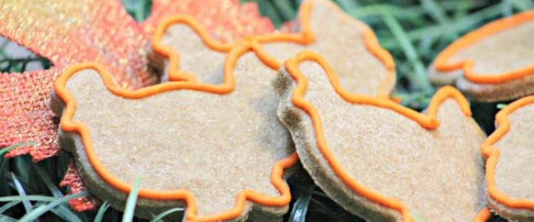 Let your dog celebrate with the family in a safe way with this delicious and cute Thanksgiving hypoallergenic dog treat recipe!