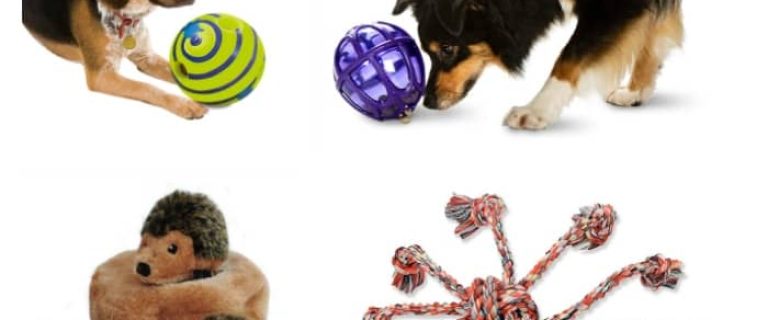 Looking for the best toys for low energy dogs? We're sharing some of our favorite interactive dog toys that will motivate your couch potato to get a bit more active!