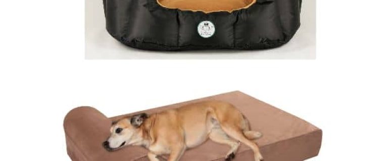 Looking for comfy places to sleep for your big pooch? Check out these top extra large dog beds with sides!