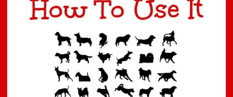 Check out our tips on where to find a dog breed chart and how to use it to choose the right dog for your family!