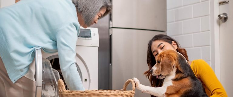 Smart Laundry Tips for Pet Owners: Automate Wash Cycles for Less Mess