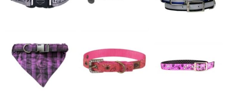 How insanely adorable are these 12 dog collars? Grab one for every day of the week! Check them out now.