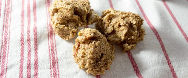 homemade bacon bits dog treats