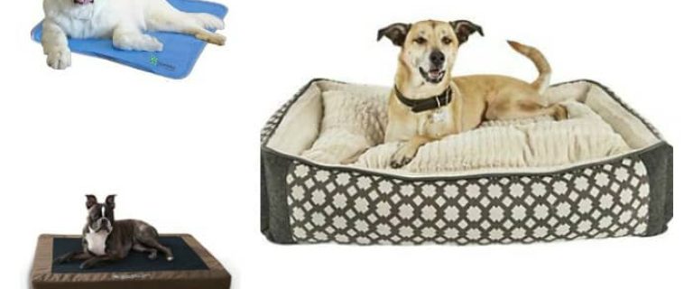 Looking for the best dog bedding all seasons? From indoor beds to the perfect bedding for a dog house, from winter to summer, we've got you covered in our complete guide to choosing the best bedding for your dog! Check it out!