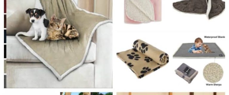 Not sure how to choose the best dog blankets? We've got you covered! Our complete guide helps you pick the perfect blanket for every purpose! Don't miss it!