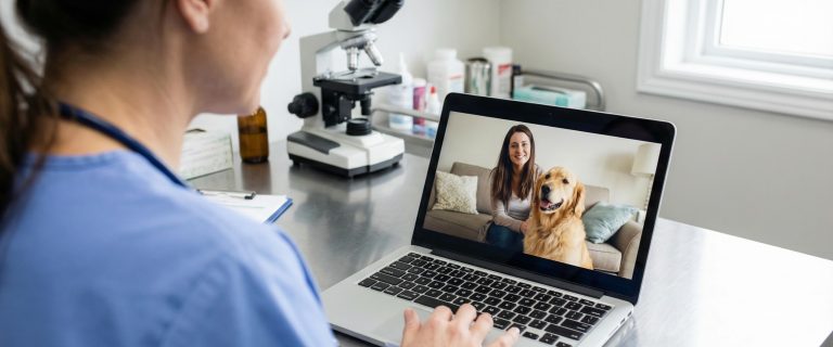 Best Telehealth Vets for Dogs