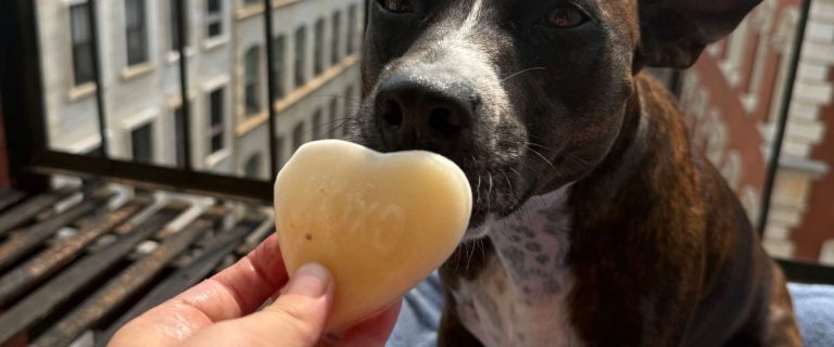 Brutus Broth Pupsicles: An Easy 3-Ingredient Frozen Dog Treat